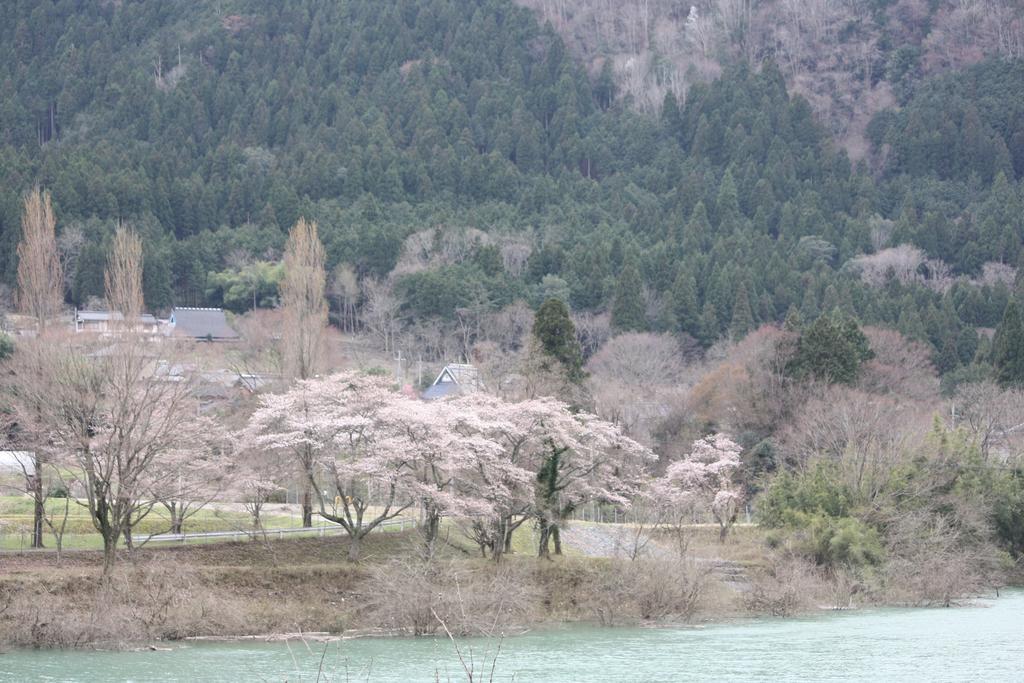 南丹市 美山故乡青年旅馆旅舍 外观 照片